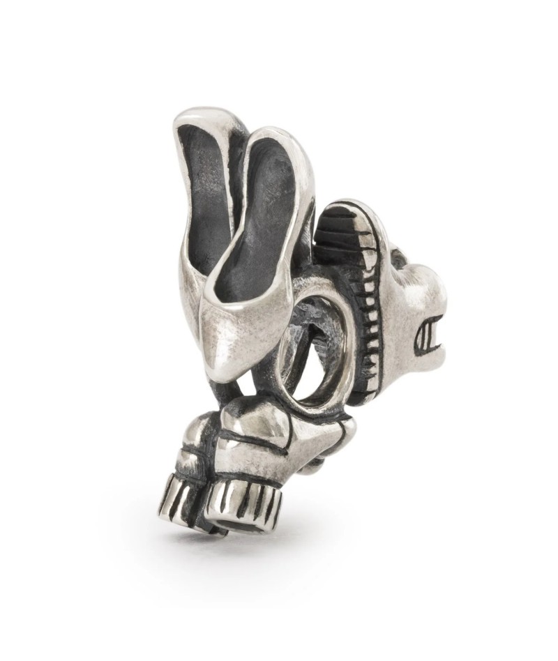 Trollbeads - Passo dopo Passo TAGBE-40136