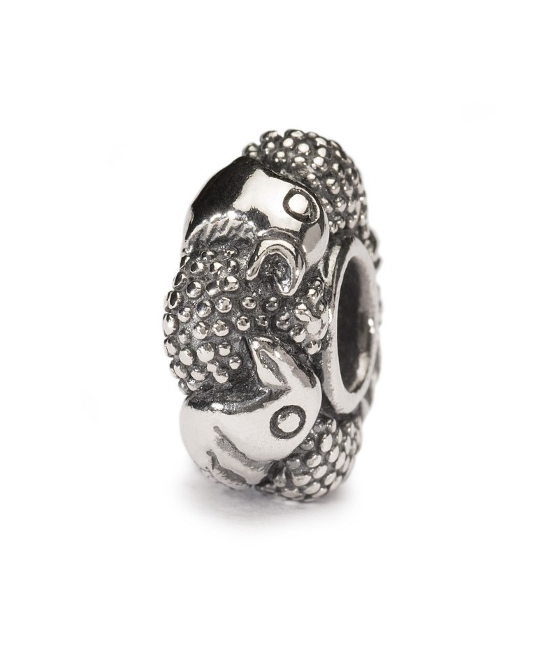 Trollbeads - Uccelli del paradiso TAGBE-50005